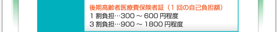 料金:後期高齢者医療被保険者証(1回の自己負担額) 1割負担…300~600円程度 3割負担…900~1800円程度
